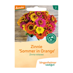 Bingenheimer Saatgut - Zinnie Sommer in Orange - 1 Tüte