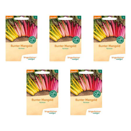 Bingenheimer Saatgut - Mangold Rainbow - 5er Pack