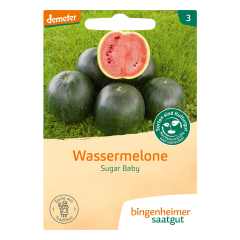 Bingenheimer Saatgut - Melone Sugar Baby - 1 Tüte