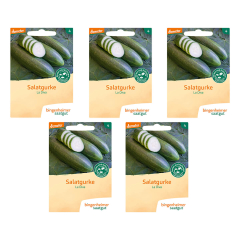 Bingenheimer Saatgut - Salatgurke La Diva - 5er Pack