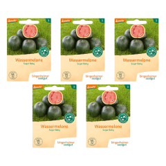Bingenheimer Saatgut - Melone Sugar Baby - 5er Pack