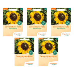 Bingenheimer Saatgut - Sonnenblume Hella - 5er Pack