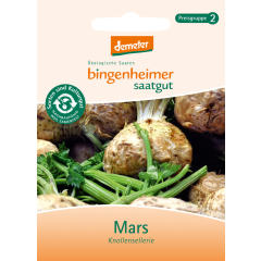 Bingenheimer Saatgut - Mars Knollensellerie - 5er Pack