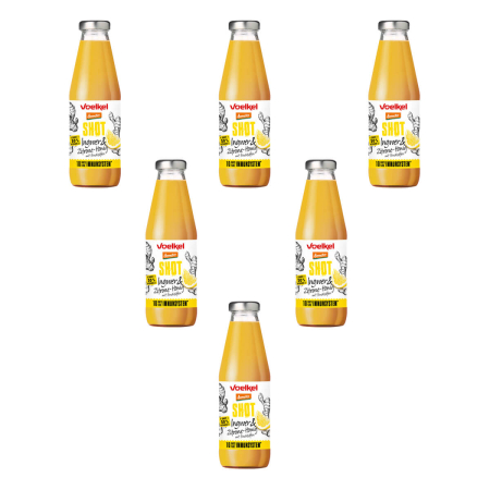 Voelkel - Shot Ingwer & Zitrone Honig - 500 ml - 6er Pack