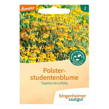 Bingenheimer Saatgut - Polsterstudentenblume - 1 Tüte - SALE
