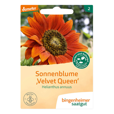 Bingenheimer Saatgut - Sonnenblume Velvet Queen - 1 Tüte