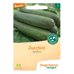 Bingenheimer Saatgut - Zucchini Serafina - 1 Tüte