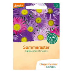 Bingenheimer Saatgut - Sommeraster - 1 Tüte