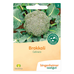 Bingenheimer Saatgut - Brokkoli Calinaro - 1 Tüte