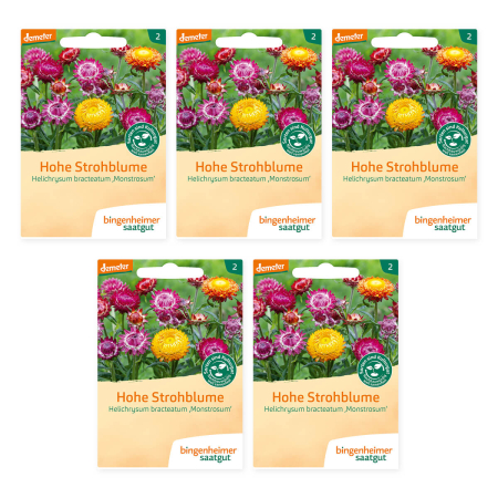 Bingenheimer Saatgut - Hohe Strohblume - 5er Pack