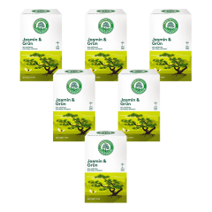 Lebensbaum - Jasmin und Grün - 20x1,5 g - 6er Pack
