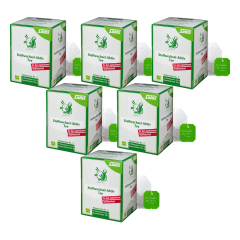 Salus - Stoffwechsel-Aktiv Tee bio 15 FB - 30 g - 6er Pack