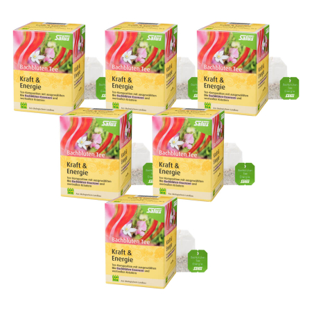 Salus - Bachblüten Tee Kraft und Energie bio 15 FB - 30 g - 6er Pack