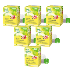 Salus - Cistus Granatapfel Tee bio - 30 g - 6er Pack