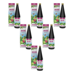 GSE - Nonisaft Cook Islands bio - 330 ml - 6er Pack