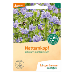 Bingenheimer Saatgut - Natternkopf - 1 Tüte