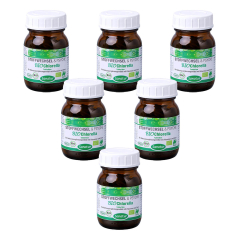 Sanatur - bioChlorella 100 Tabletten kbA - 40 g - 6er Pack