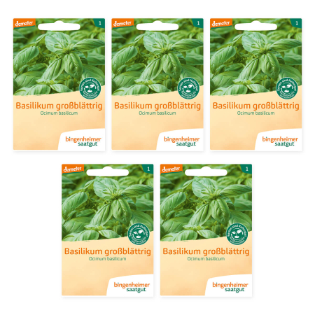 Bingenheimer Saatgut - Basilikum großblättrig - 5er Pack