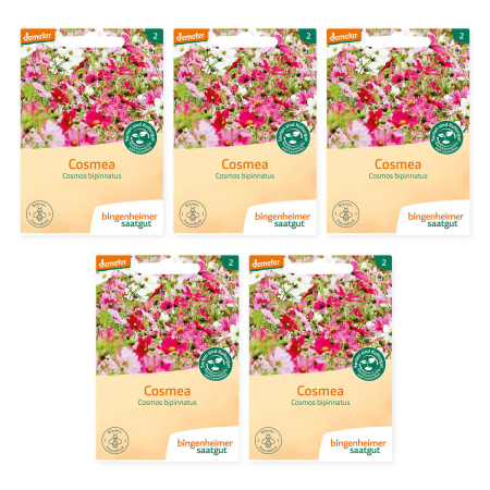 Bingenheimer Saatgut - Cosmea Blumen - 5er Pack