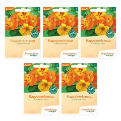 Bingenheimer Saatgut - Kapuzinerkresse - 5er Pack