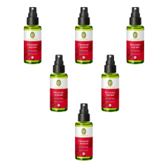 Primavera - Herzenswärme Raumspray bio - 50 ml - 6er Pack