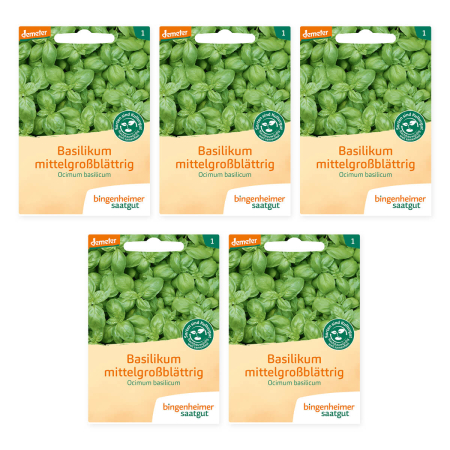 Bingenheimer Saatgut - Basilikum mittelgroßblättrig - 5er Pack