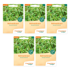 Bingenheimer Saatgut - Bohnenkraut einjährig - 5er Pack