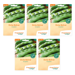 Bingenheimer Saatgut - Dicke Bohne Hangdown - 5er Pack