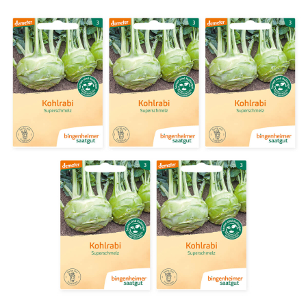 Bingenheimer Saatgut - Kohlrabi Superschmelz weiß - 5er Pack