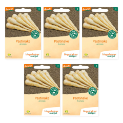 Bingenheimer Saatgut - Pastinake Aromata - 5er Pack