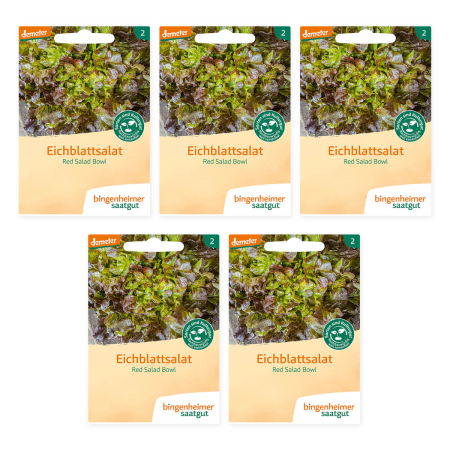 Bingenheimer Saatgut - Pflücksalat Red Salad Bowl - 5er Pack