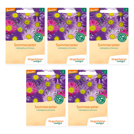 Bingenheimer Saatgut - Sommeraster - 5er Pack