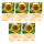 Bingenheimer Saatgut - Sonnenblume La Torre - 5er Pack