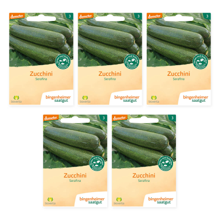 Bingenheimer Saatgut - Zucchini Serafina - 5er Pack