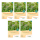 Bingenheimer Saatgut - Blühpflanzenmischung Nützlingsparadise - 5er Pack