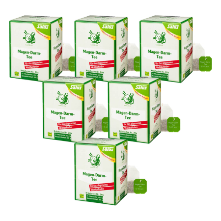 Salus - Magen-Darm Tee Nr. 20a bio 15 Filterbeutel - 30 g - 6er Pack