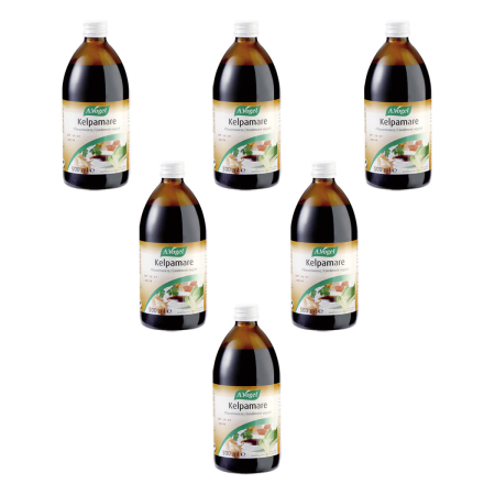 A.Vogel - Kelpamare flüssige Speisewürze Nachfüllflasche - 500 ml - 6er Pack