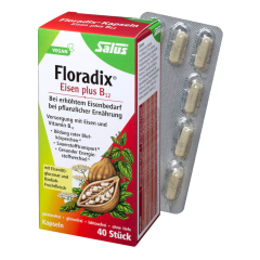 Floradix - Salus Eisen pl. B12 vegan 40Kps - 15,8 g
