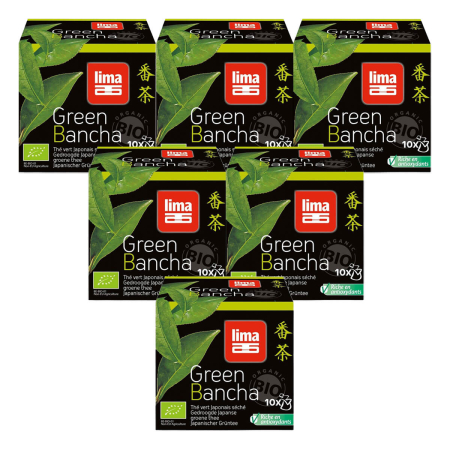 Lima - Green Bancha Grüner Tee Filterbeutel 10 Stück - 6er Pack