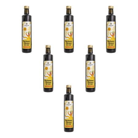 Sonnentor - Kurkuma-Zitronen Sirup bio - 500 ml - 6er Pack