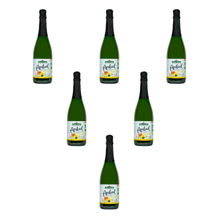 Coteaux Nantais - Apibul prickelnder Apfel-Zitronensaft - 750 ml - 6er Pack