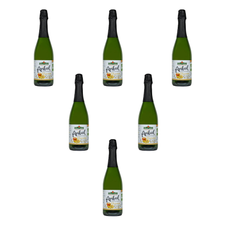 Coteaux Nantais - Apibul prickelnder Apfel-Ingwersaft - 750 ml - 6er Pack