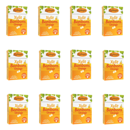 Birkengold - Bonbons Orange - 30 g - 12er Pack