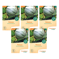 Bingenheimer Saatgut - Melone Petit Gris de Renne - 5er Pack