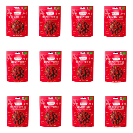Organica - gefriergetrocknete Erdbeeren bio - 50 g - 12er Pack