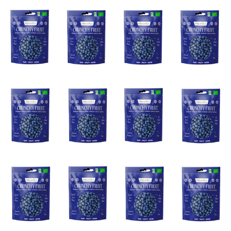 Organica - gefriergetrocknete Blaubeeren bio - 60 g - 12er Pack