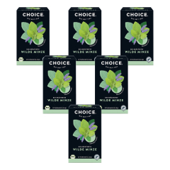 Yogi Tea - CHOICE Wilde Minze bio - 20 g - 6er Pack